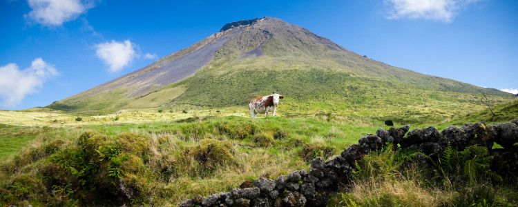 Pico Island