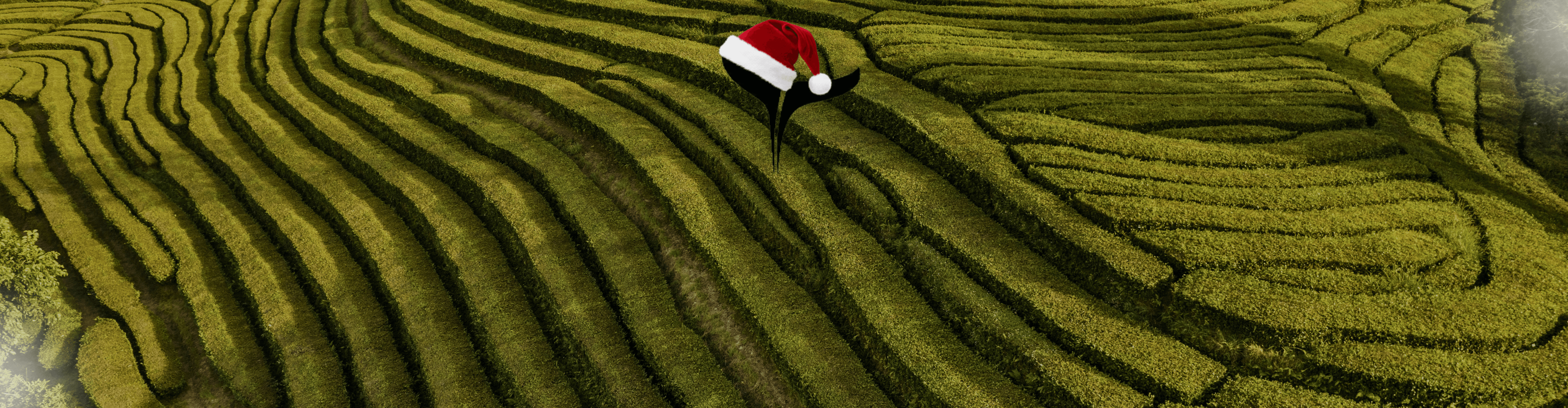 Azores Getaways Holidays