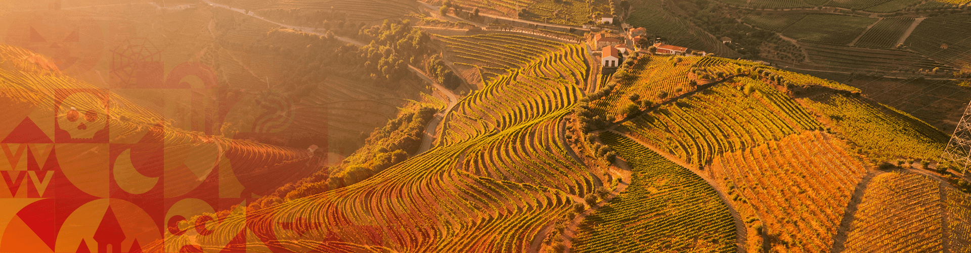 Save Up to 60% Off This Halloween