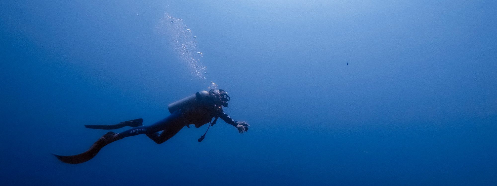 Mergulho nos Açores: A Sua Próxima Aventura
