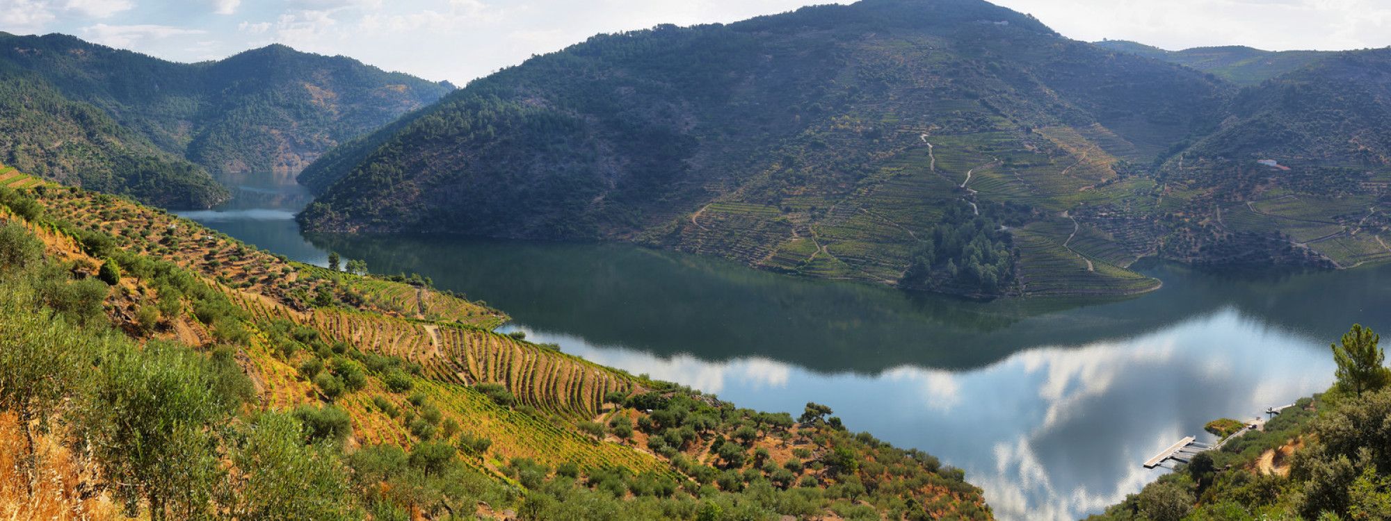 The Douro Valley: Port Wine Region of Portugal
