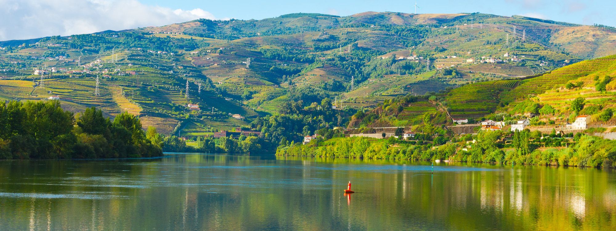 Explore Wineries and Vineyards in Porto, Portugal