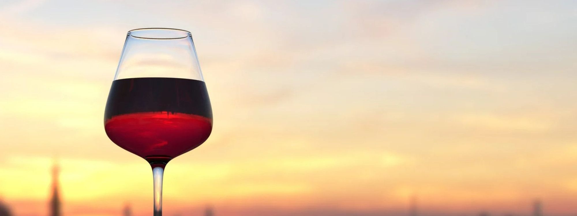 Explore the Rich Culture of Wine in Barcelona, Spain