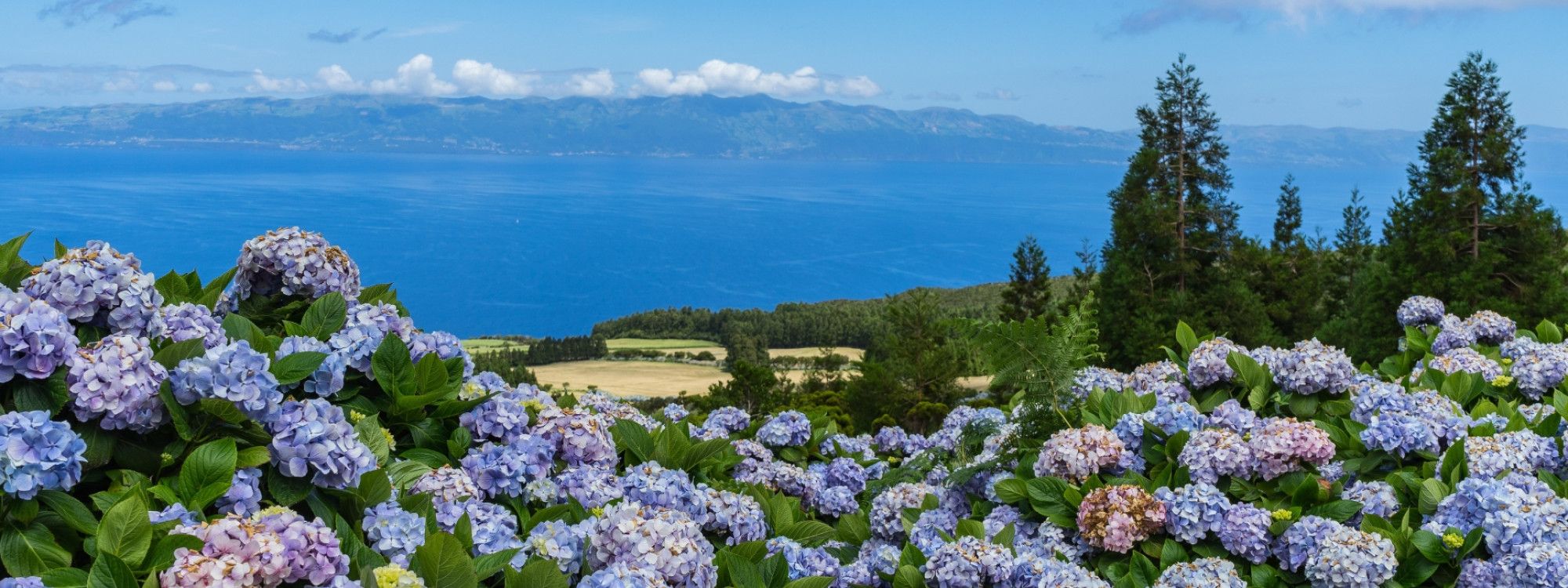 Azores Eco Tips: How to Travel Responsibly on the Islands