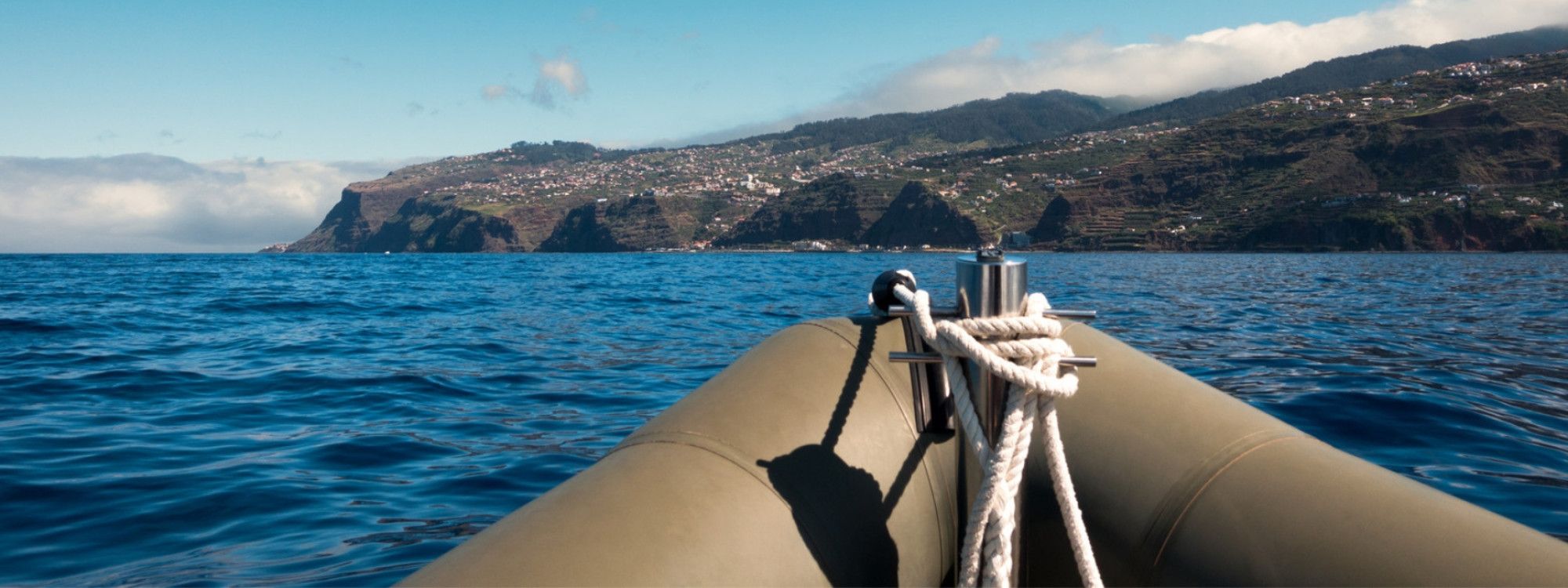 Whale Watching in Madeira: Best Time, Species & Tours