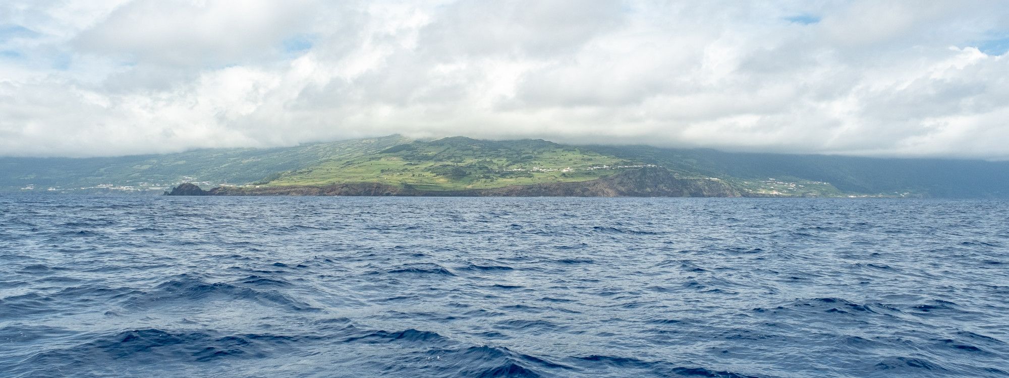 Dolphin & Whale Watching in Pico Island, Azores