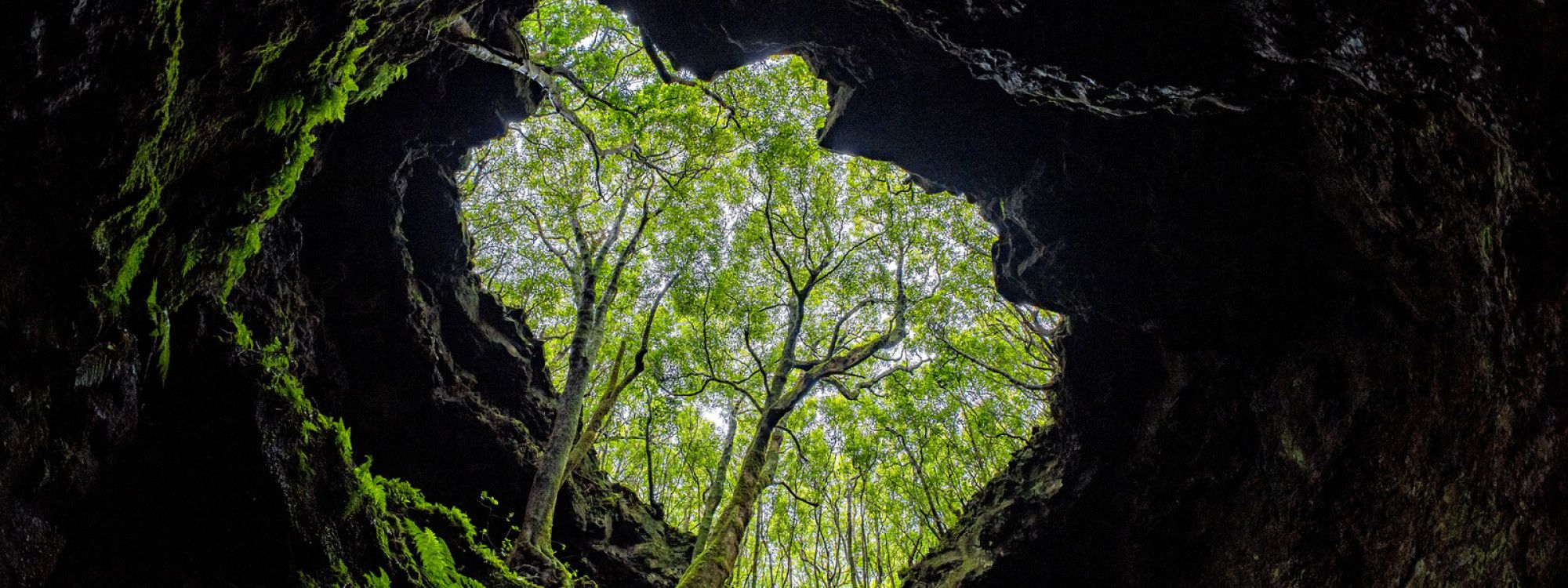Gruta das Torres, Pico Island: Tour, Tips & What to Expect
