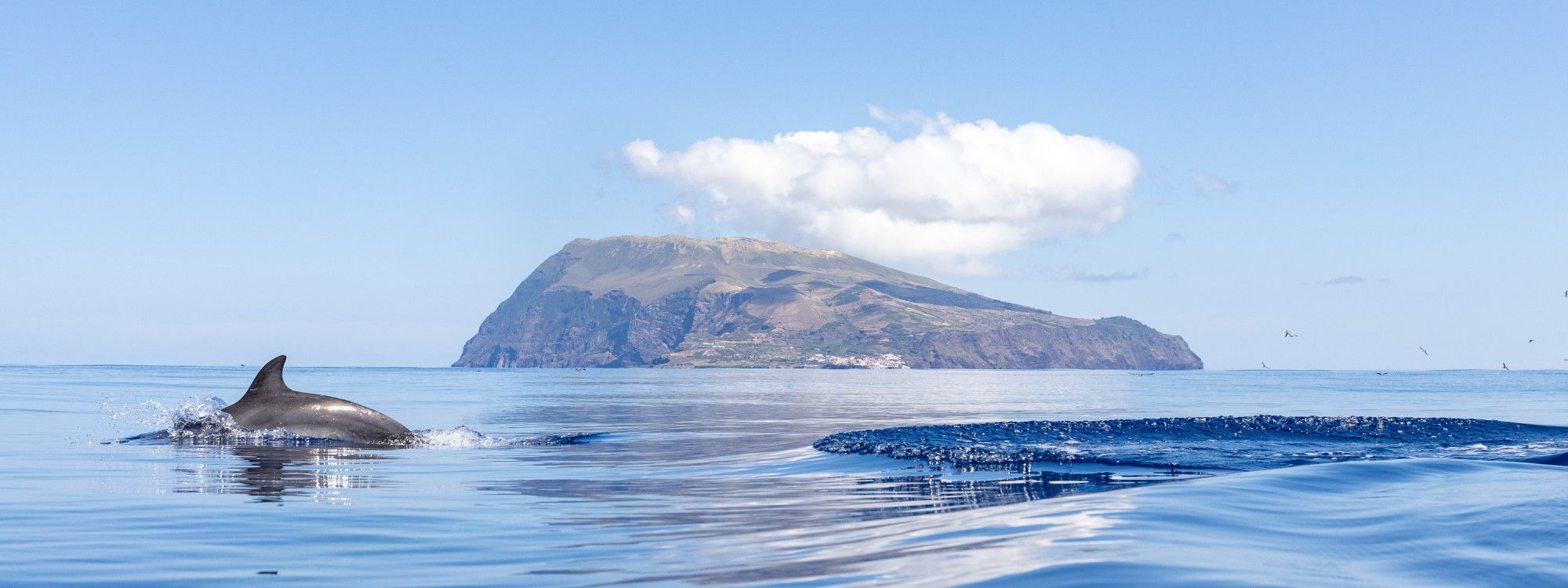 Ilha do Corvo: Uma Reserva da Biosfera dos Açores