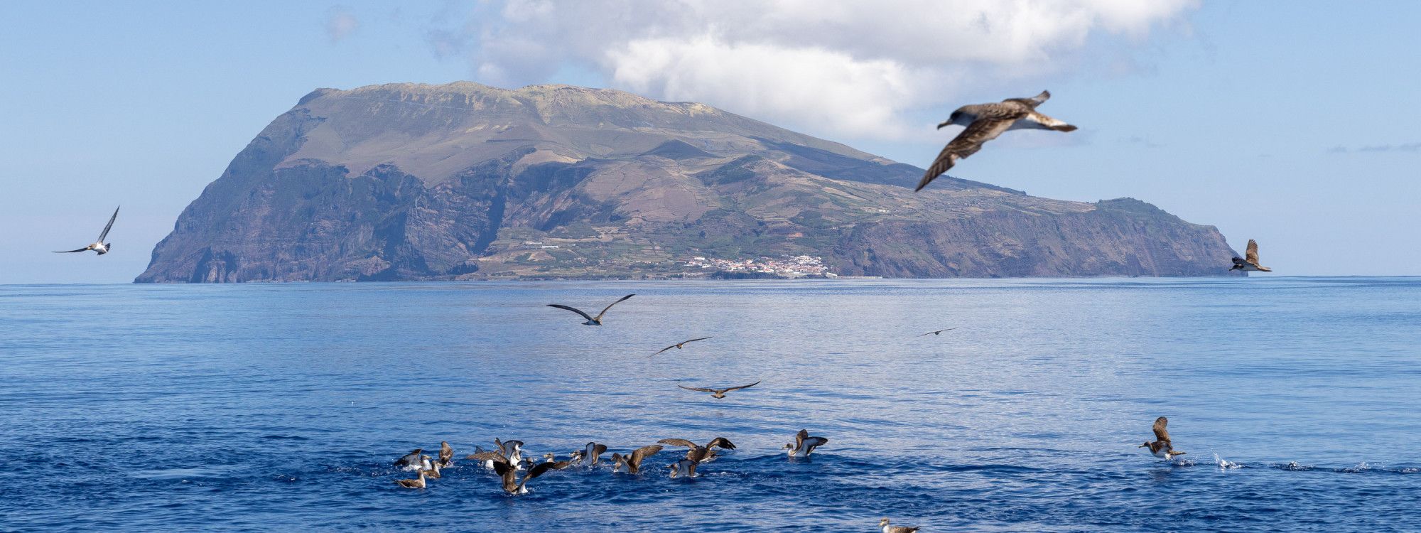 Corvo: Viagem de Um Dia a Partir da Ilha das Flores