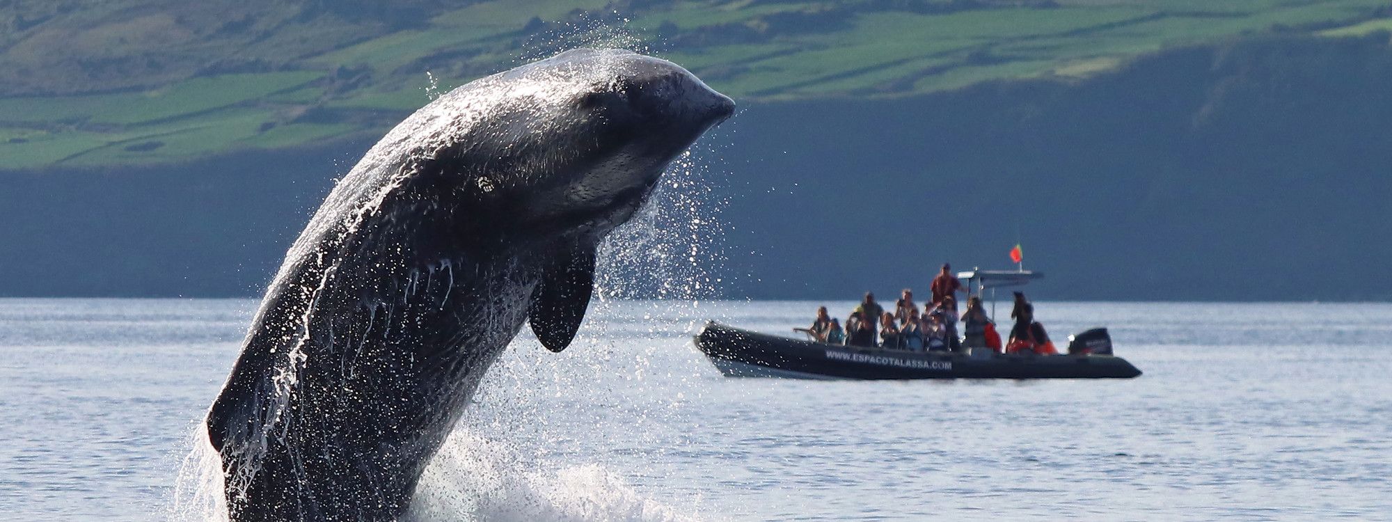 Sustainable Travel in the Azores: How to Explore Responsibly