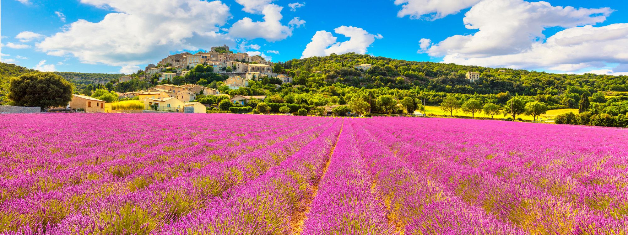 Which French Region to Visit First: A Decision Guide