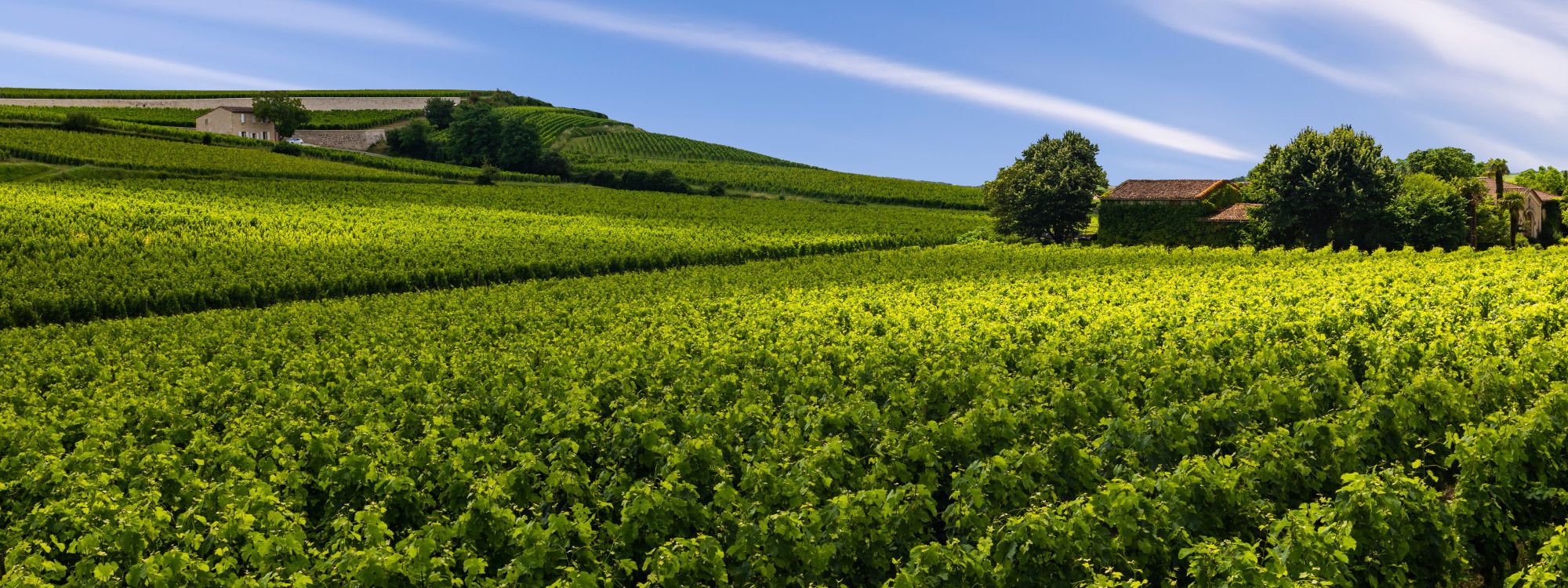 French Wine Regions: Bordeaux, Burgundy, Champagne & Loire