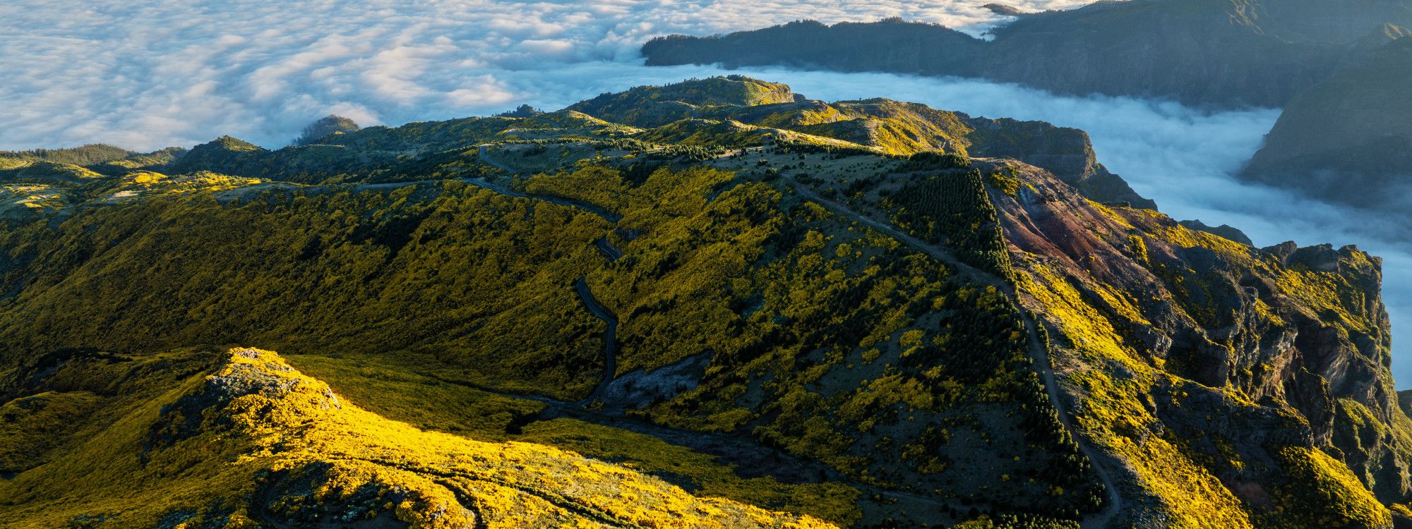 Madeira History and Culture: A Complete Guide