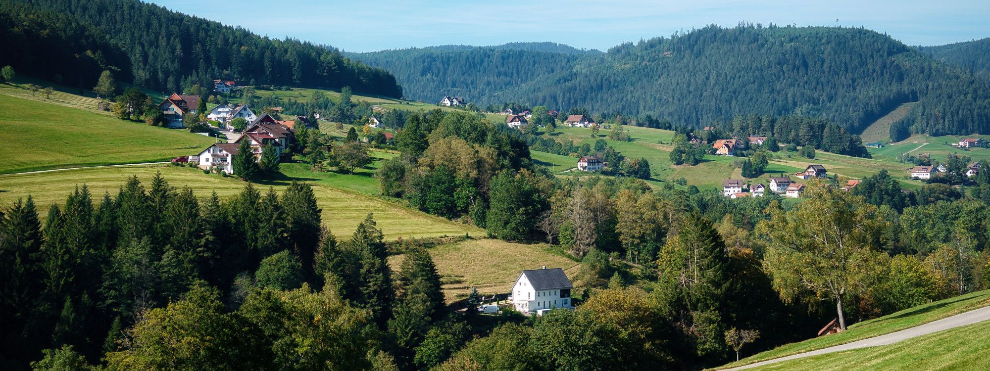 The Black Forest: Villages, Cuckoo Clocks & Cake