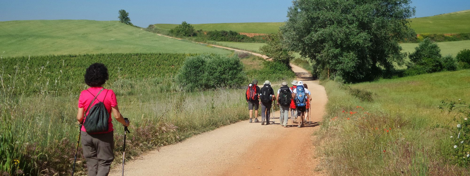 The Camino de Santiago: The Complete Guide