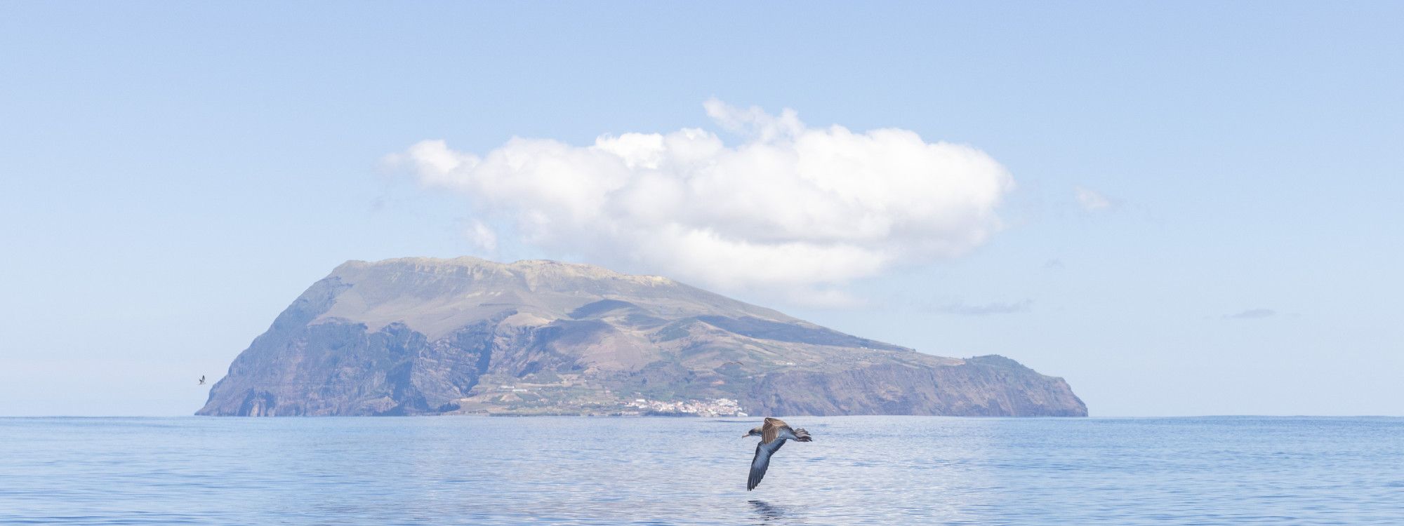 Corvo Island: UNESCO Biosphere Reserve Guide for Travelers