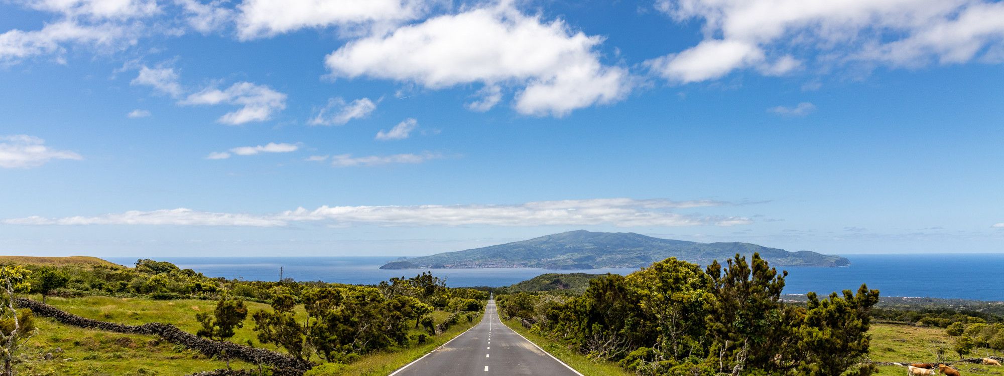 Faial to Pico Day Trip: Ferry, What to Do & How to Plan It