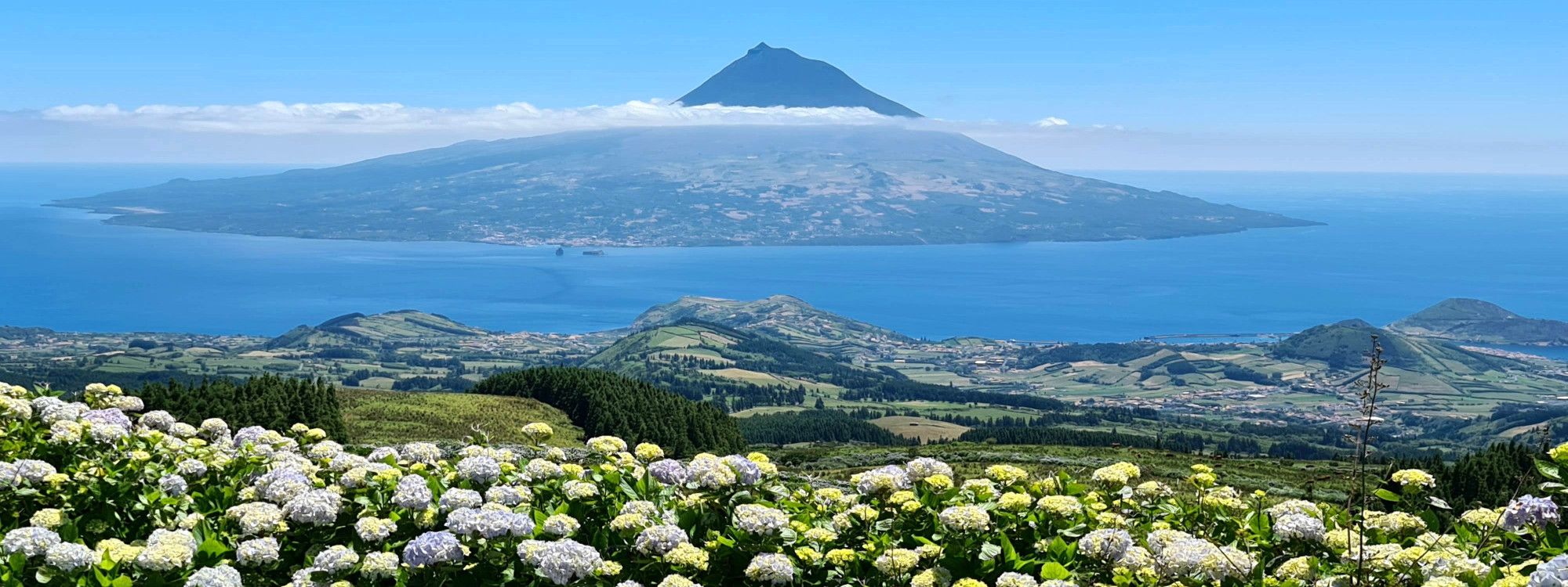 Horta, Faial Island: What to See in the Azores' Sailor City