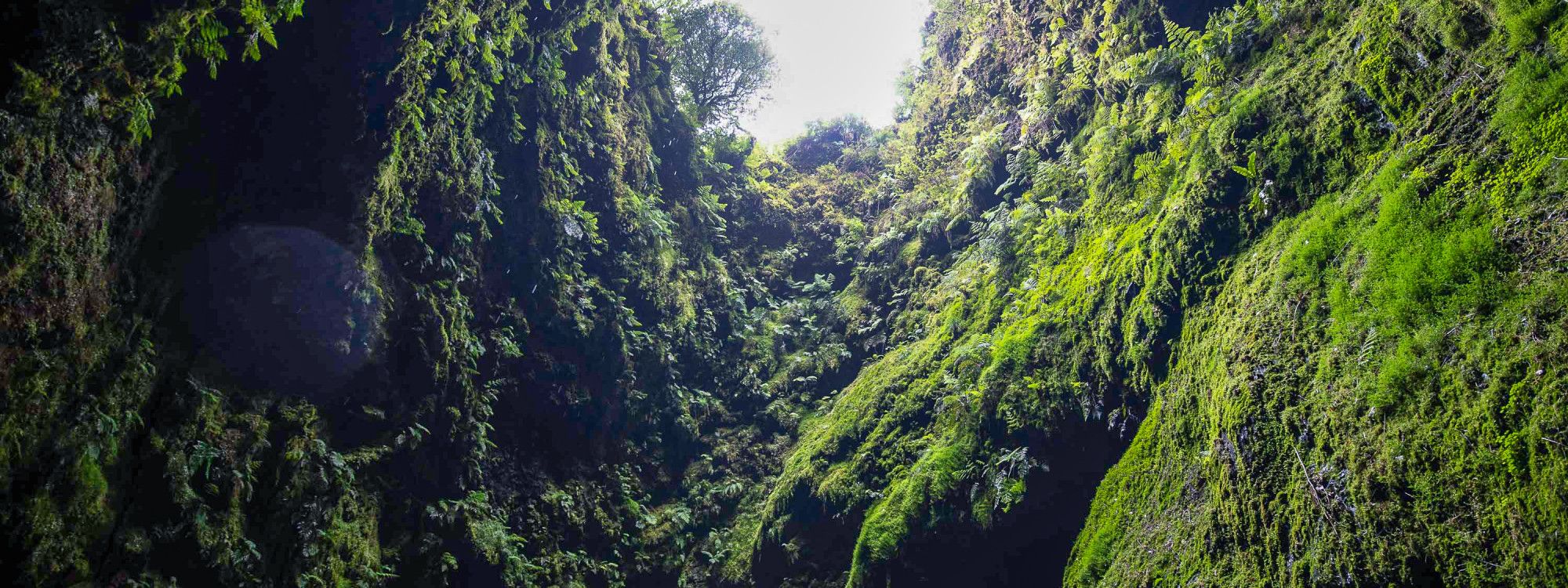 Algar do Carvão, Terceira: Hours, Tickets & What to See