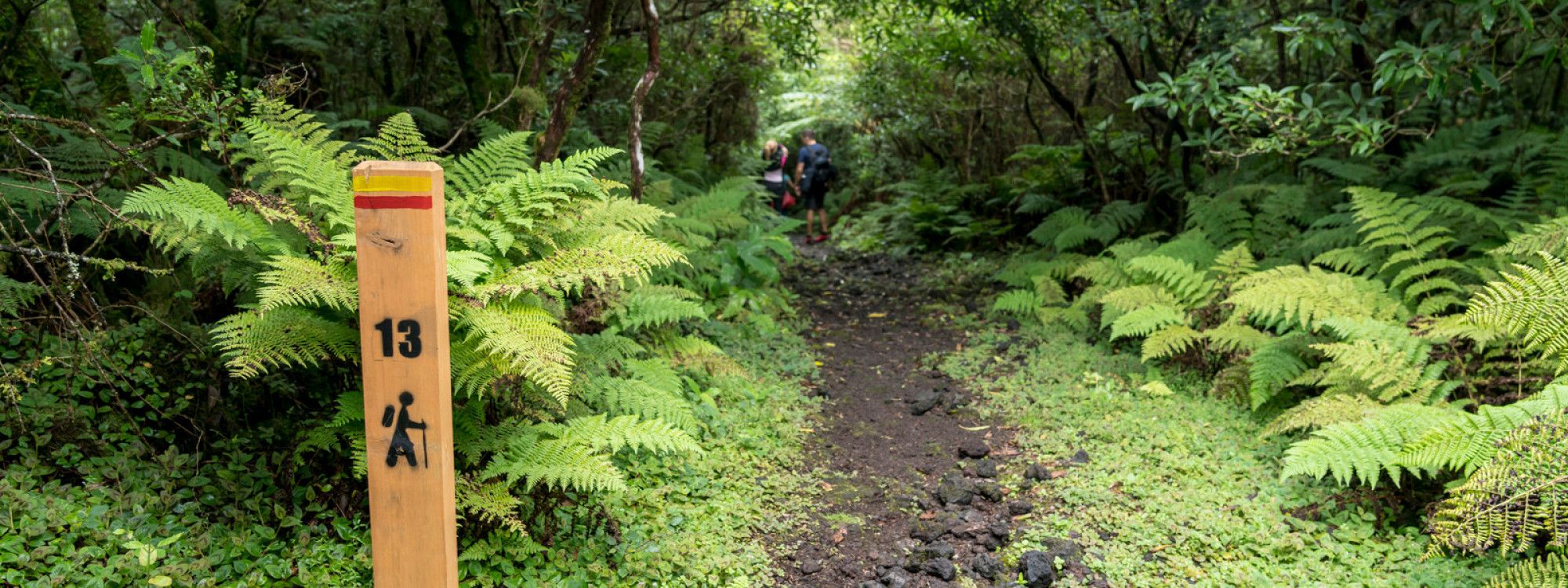 Hiking on Terceira Island: Best Trails & Tips