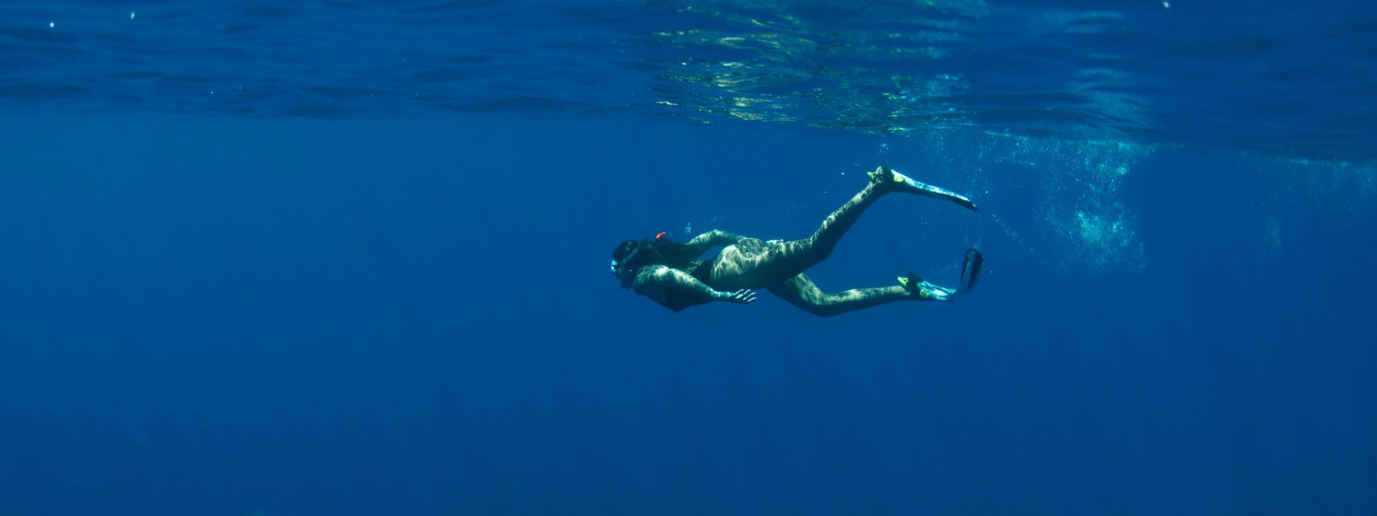 Azores Diving Guide: Best Sites by Island