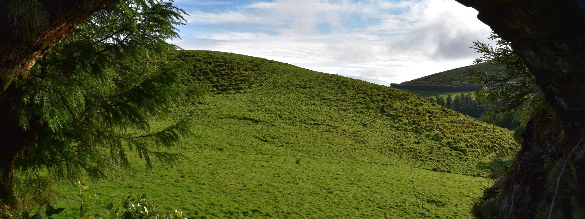 Azores in Winter: Weather, Things to Do & Is It Worth It