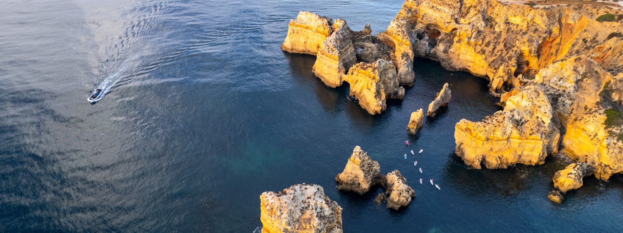 Algarve Boat Trips & Dolphin Watching: Best Tours by Town