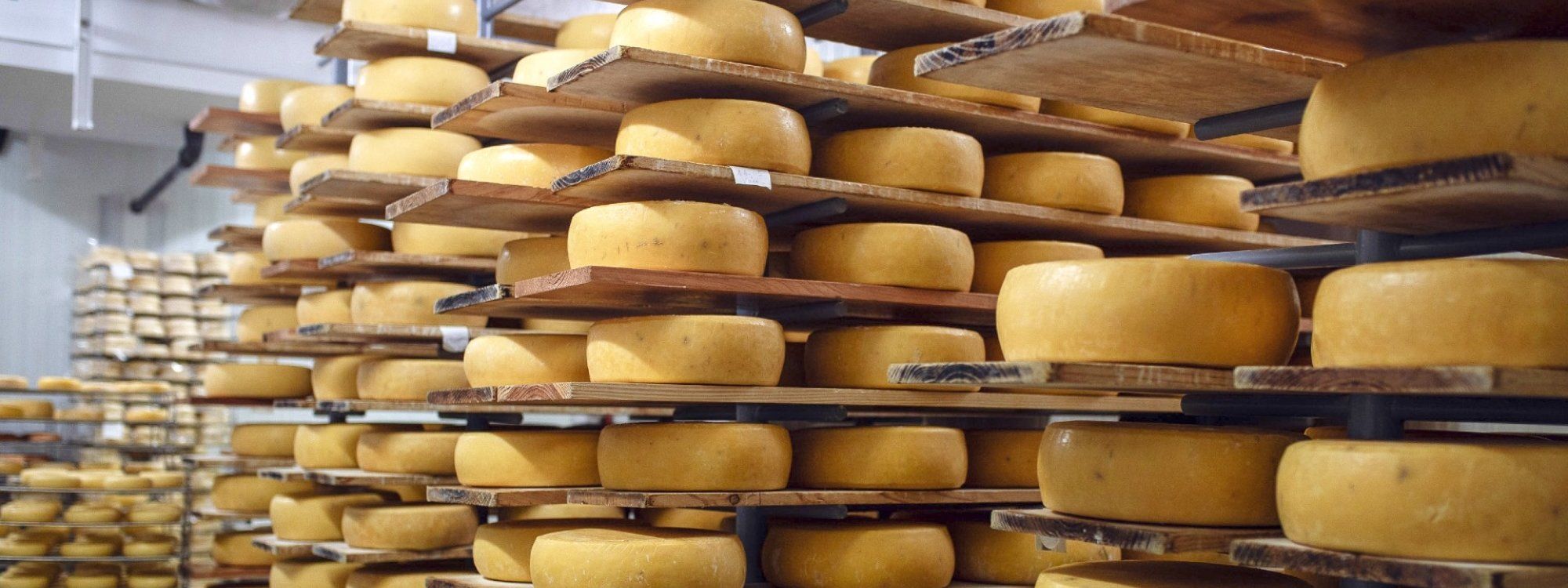 Azores Cheese Guide: São Jorge, Pico & Where to Taste