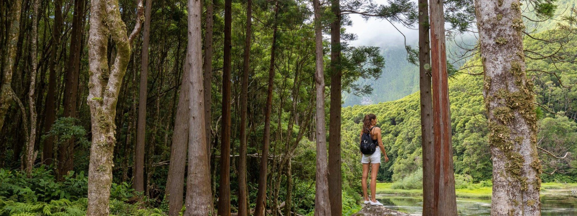 Hiking in the Azores: Best Trails Across All 9 Islands