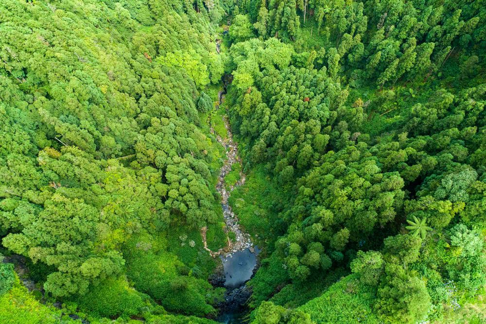 The World's First Leading Sustainable Tourism Destination