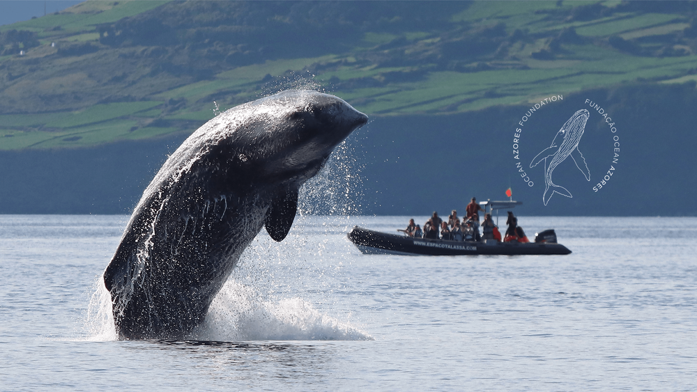 Preserving the Azores: Our Promise to Protect & Sustain