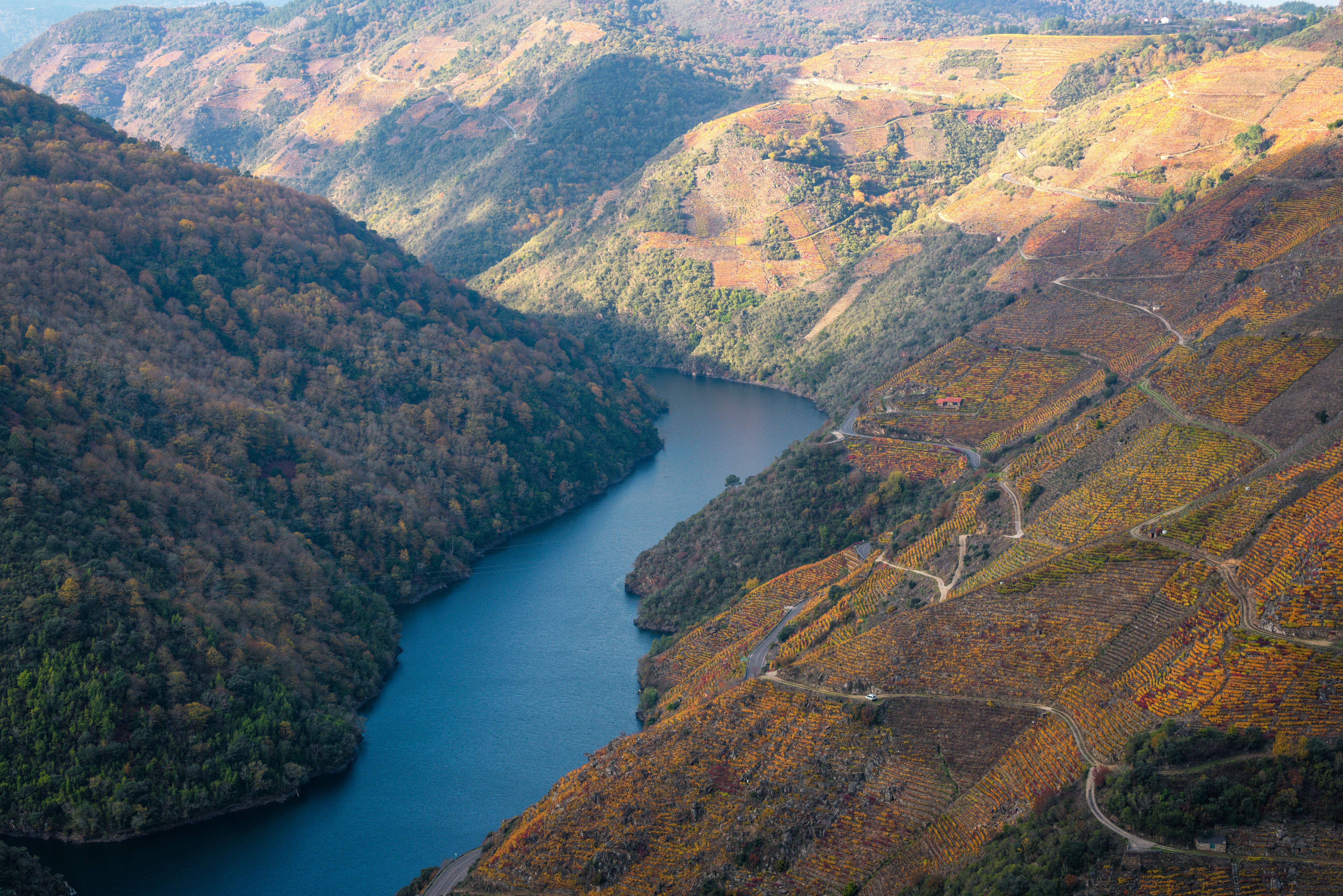 Unspoiled Beauty of Portugal's Countryside