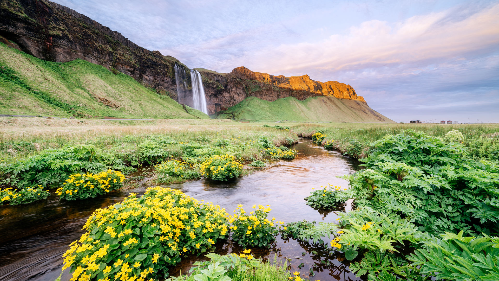 Cascata Seljalandfoss