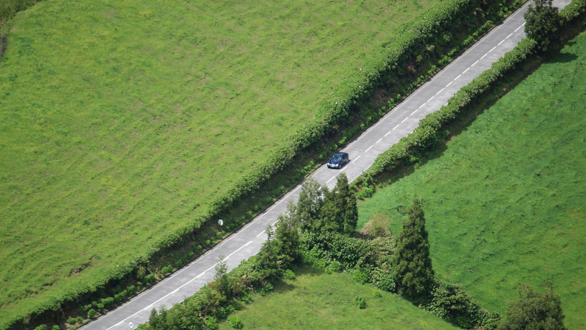 Rua das Hortênsias, Sete Cidades