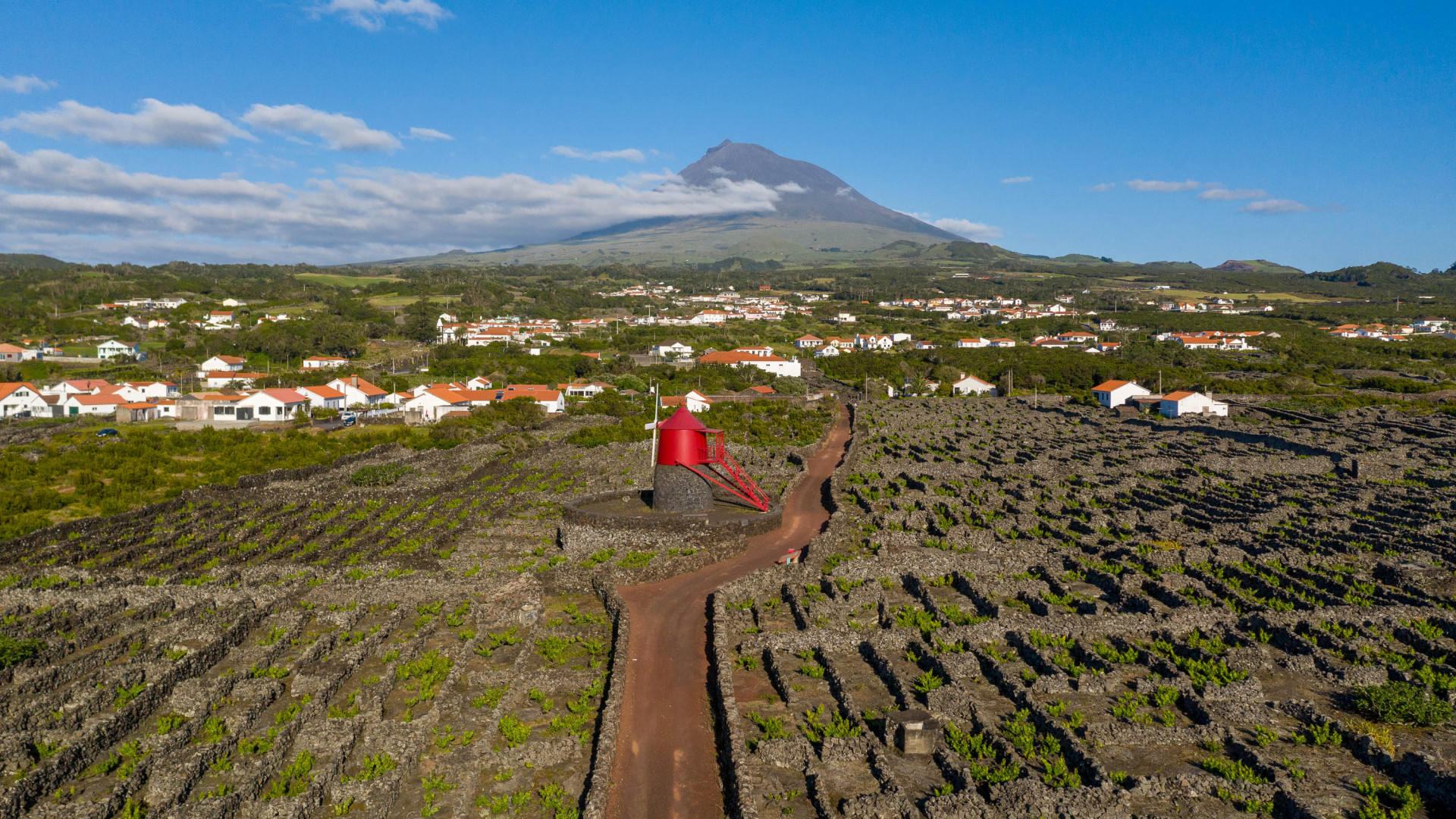 Paisagem da Cultura da Vinha do Pico
