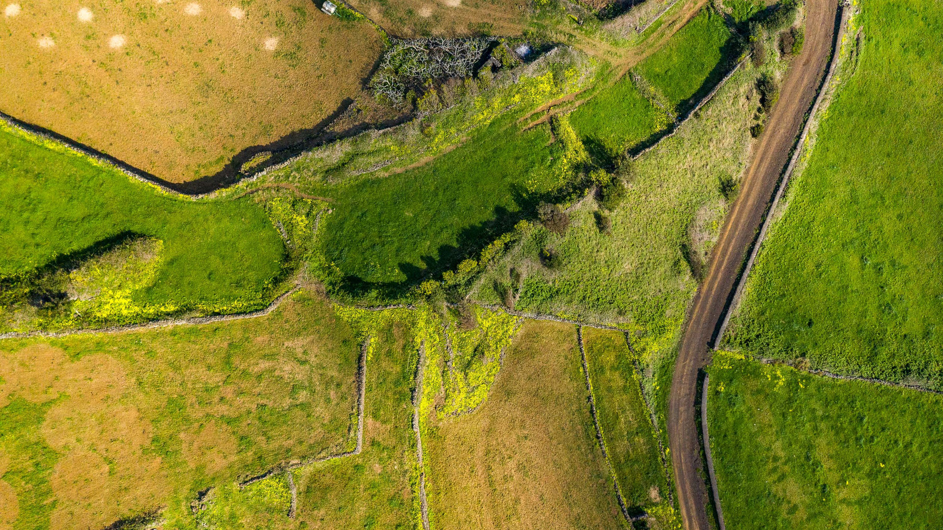 Vista Aérea, Ilha do Pico
