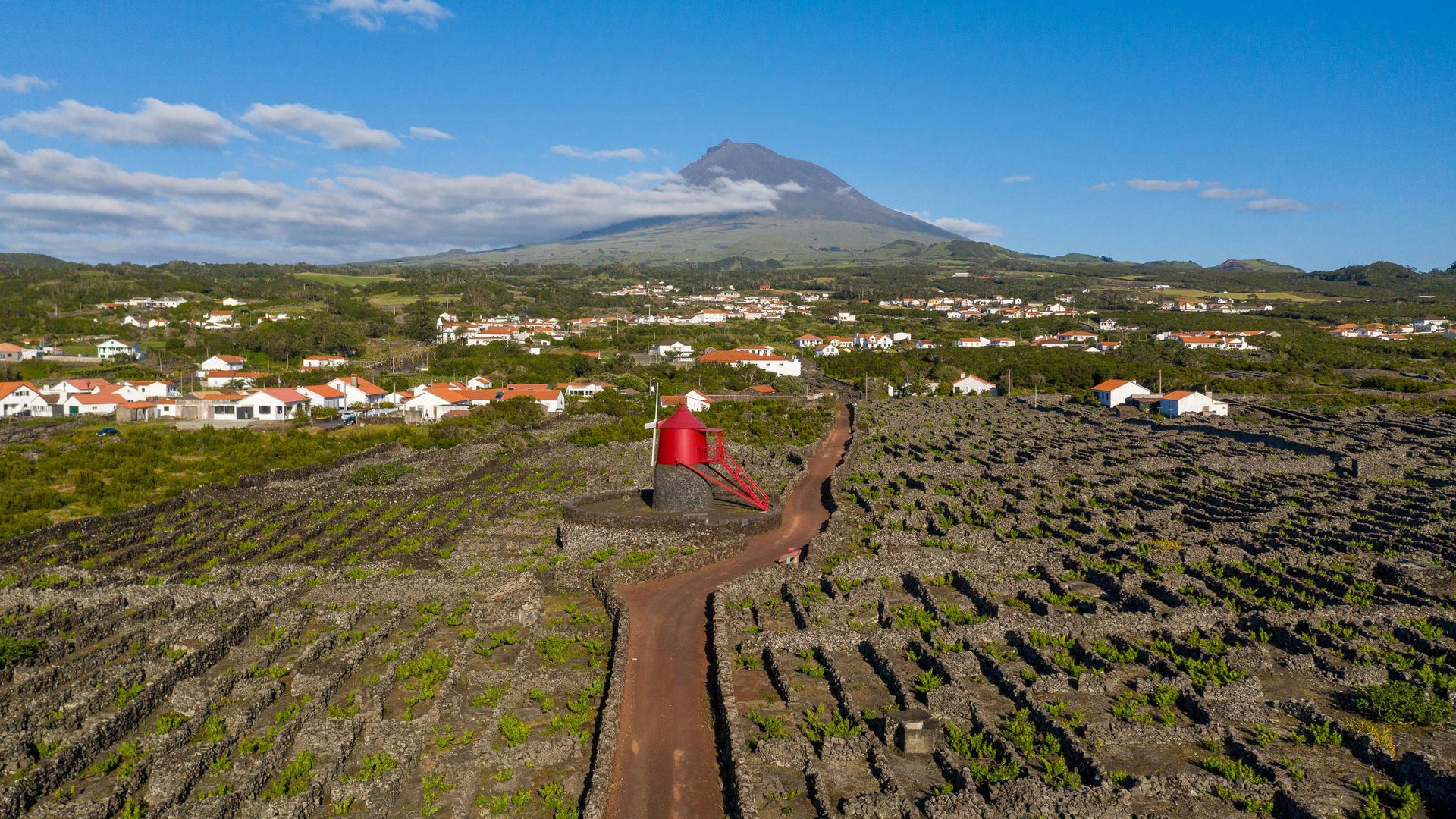 Paisagem da Cultura da Vinha, Ilha do Pico