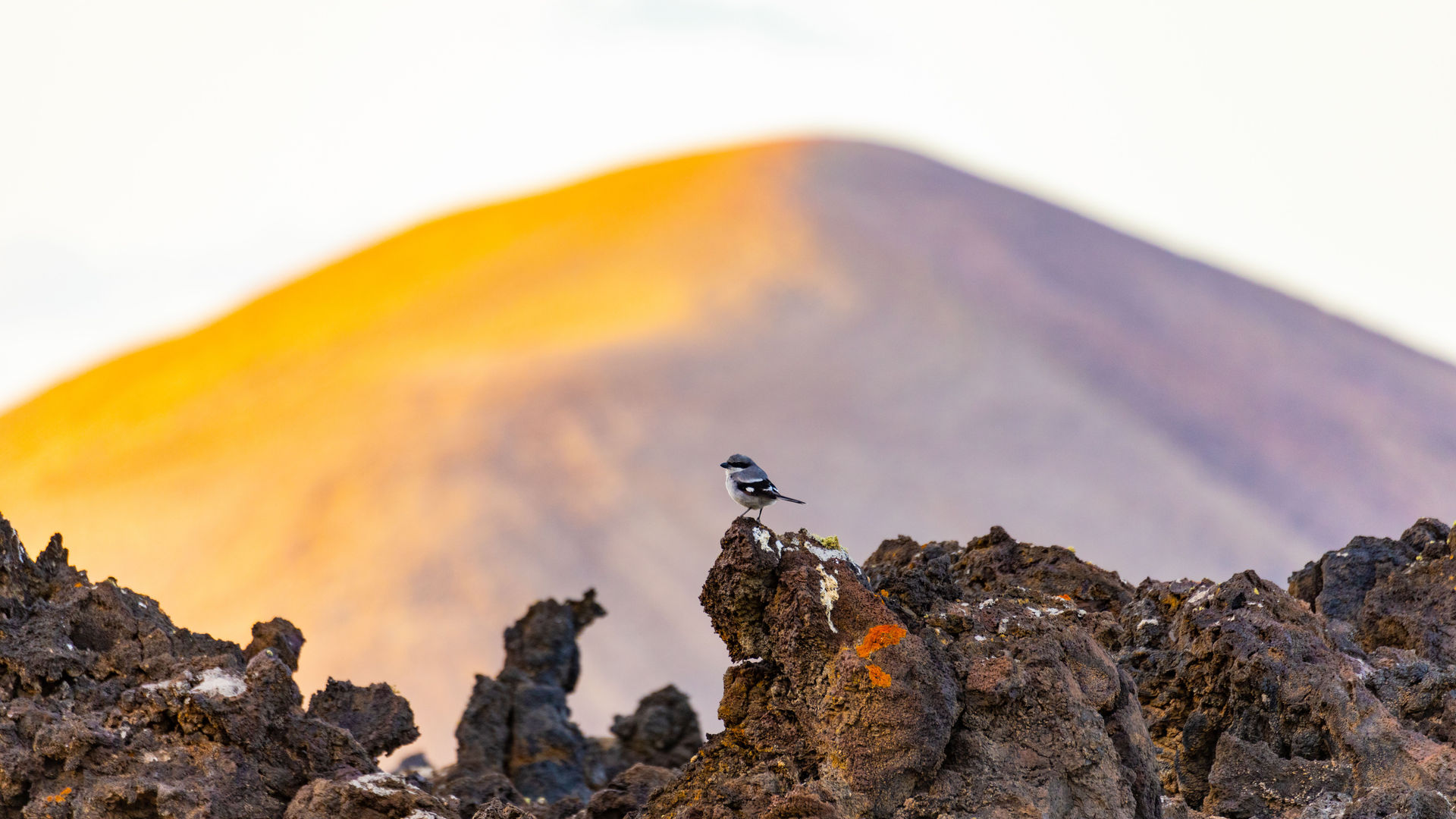 Parque Nacional de Timanfaya