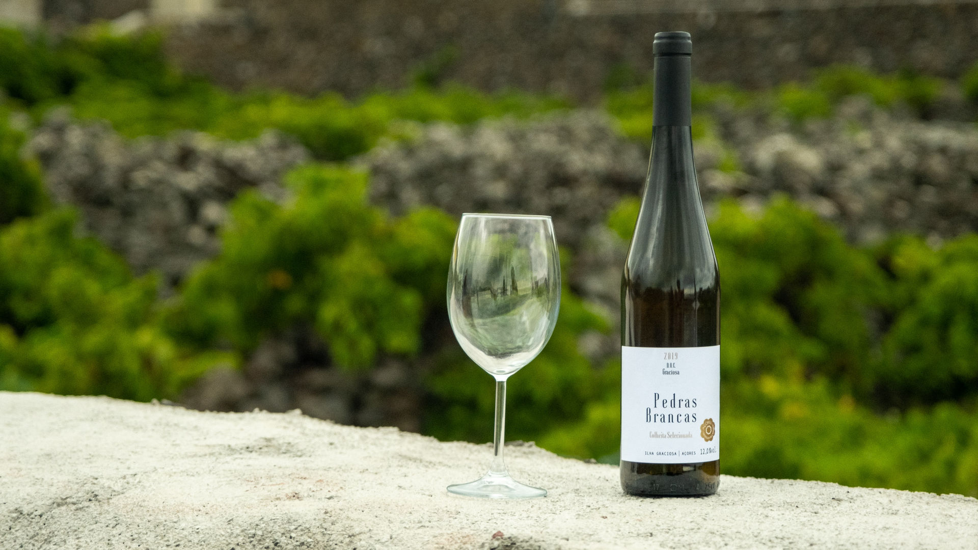 Vinho da Cooperativa