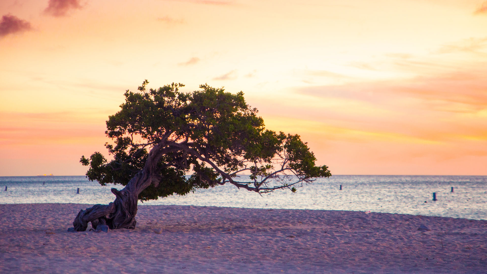 Aruba, Caribbean Sea