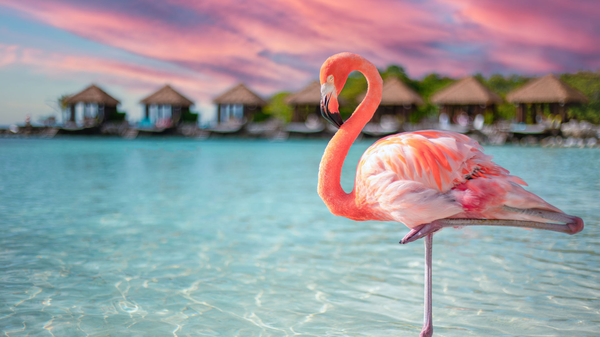 Aruba, Caribbean Sea