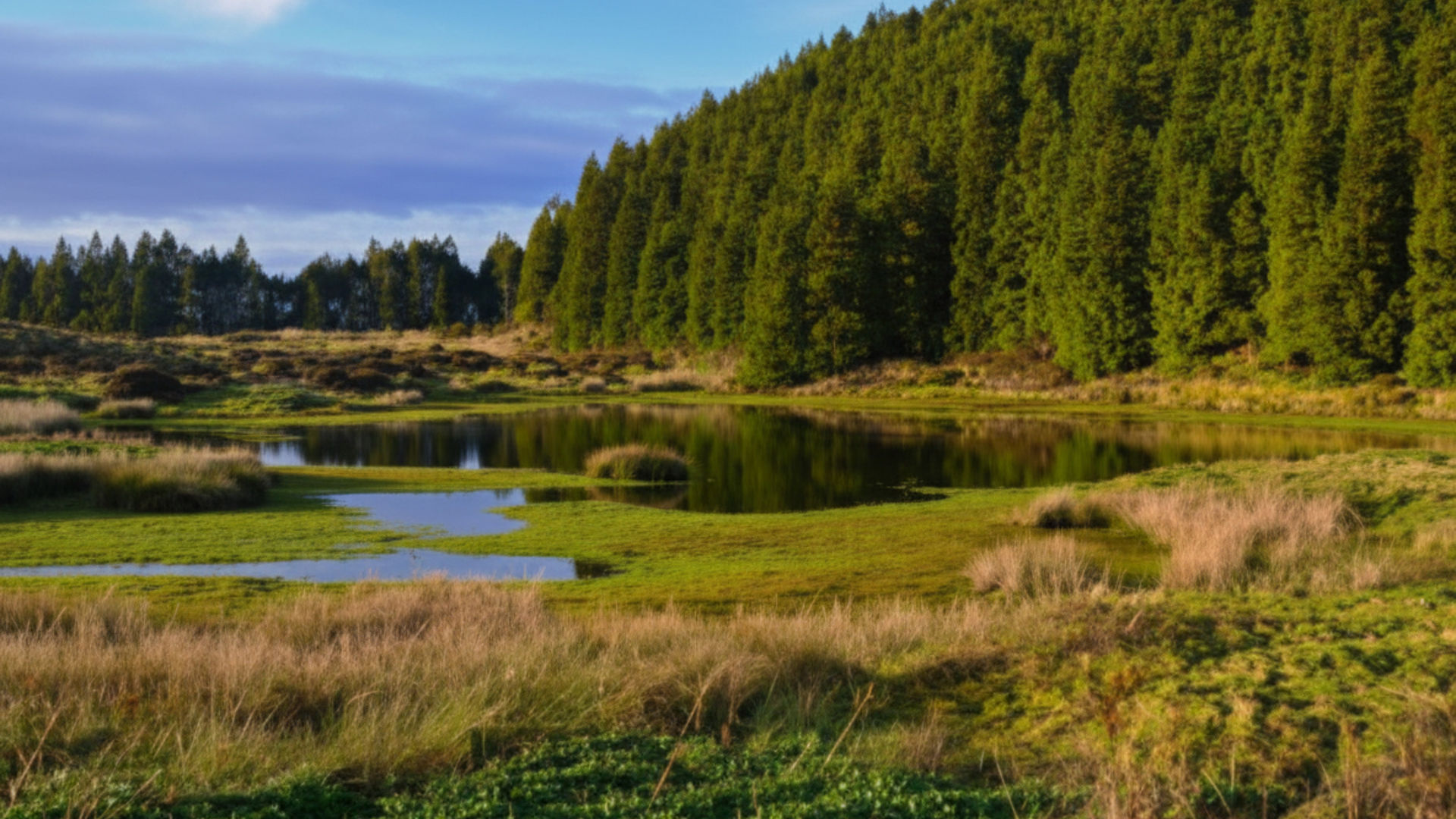 Mistérios Negros Hiking Trail, Terceira Island (Inclouded)