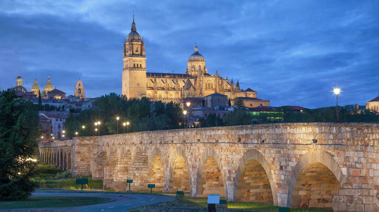 Salamanca Cathedral illuminated at dusk with the historic Roman Bridge in the foreground, Salamanca, Spain