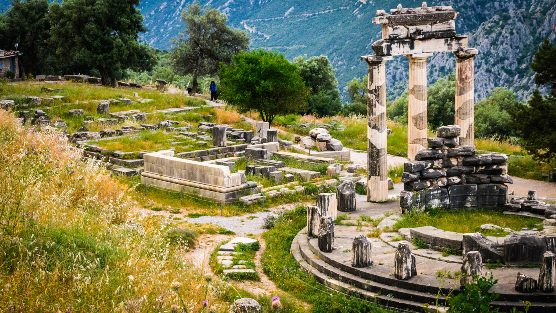 Delphi