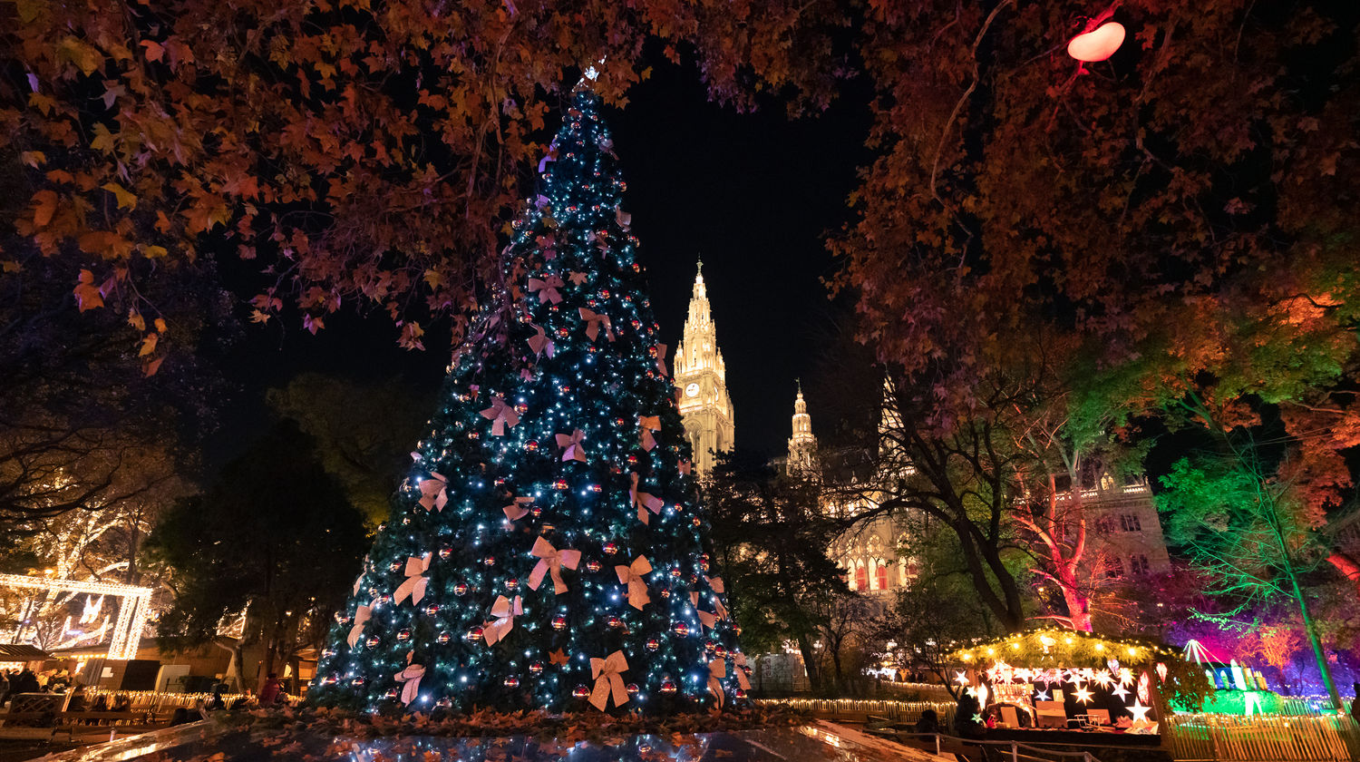 Holiday Lights in Vienna, Austria