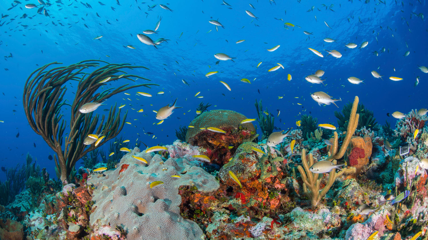 Cancún, Mexico