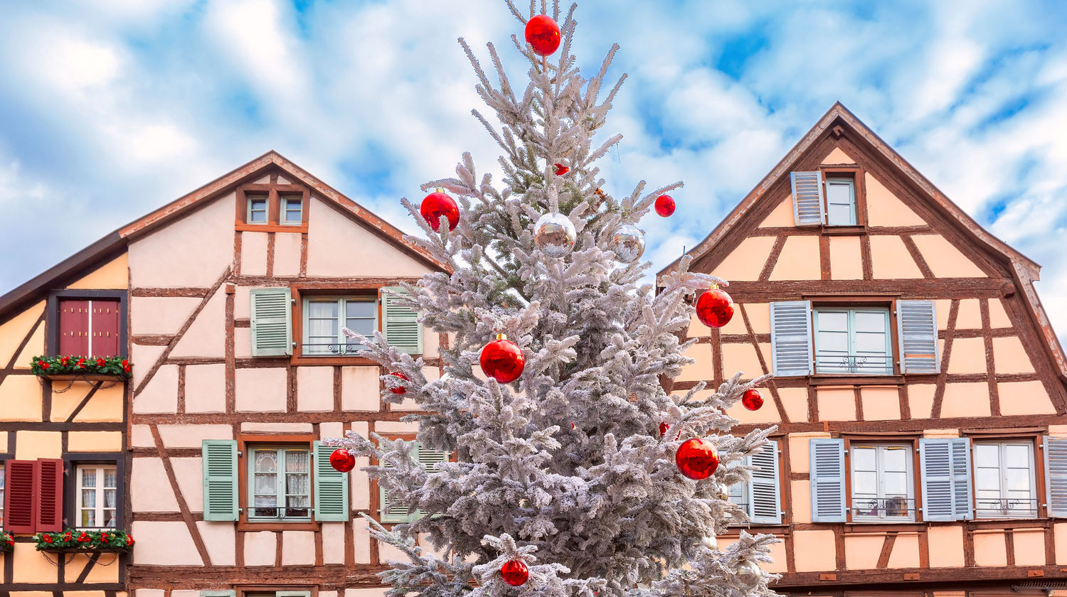 Christmas Tree and Alsatian Houses in Colmar, France