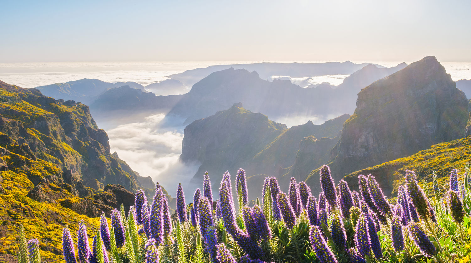 Pico do Areeiro, Madeira Island