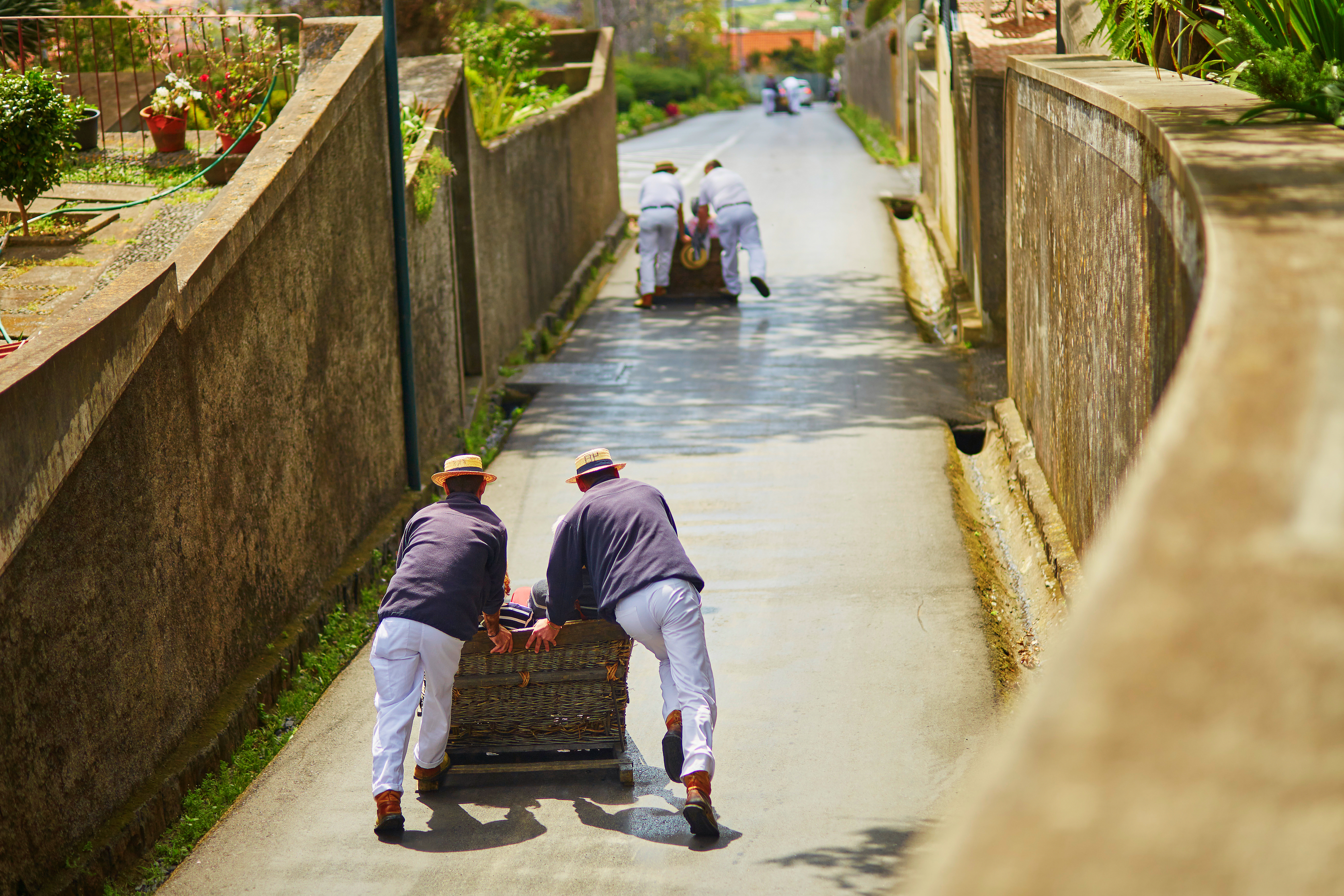 Monte Toboggan Ride, Funchal, Madeira Island, Portugal