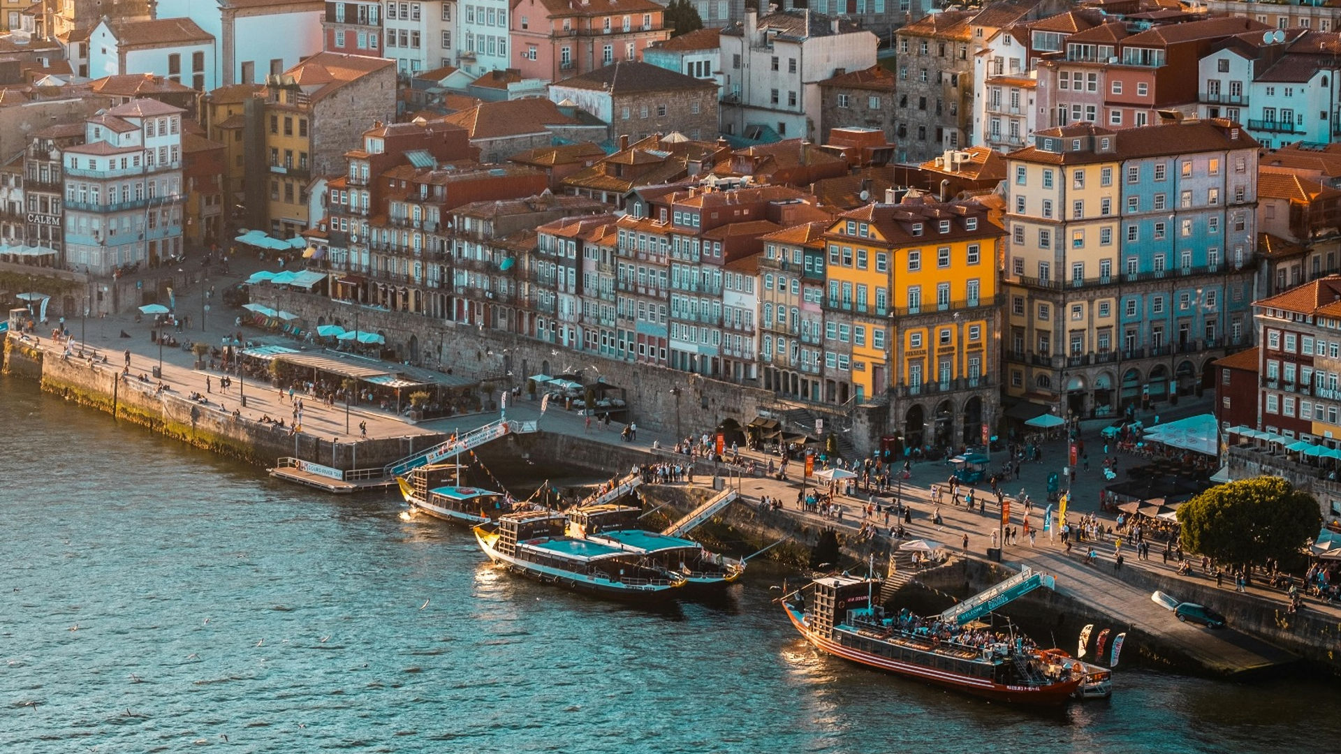 Vila Nova de Gaia, Porto